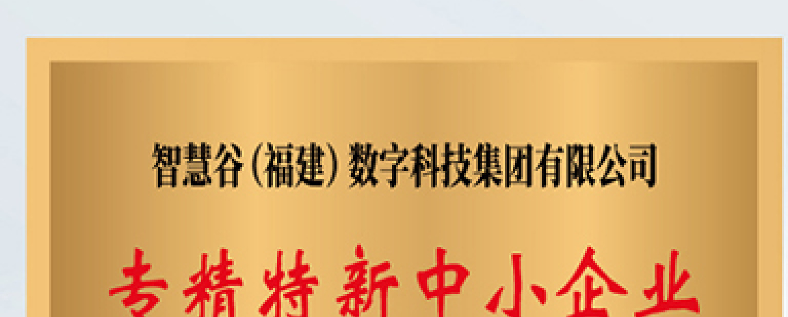 厦门市专精特新中小企业牌匾